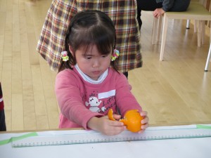 IMG_2308s